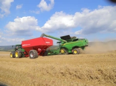 Rynek zbóż i roślin oleistych: żniwa 2025 i co dalej? Debata branżowa wkrótce