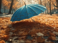 Pogoda na czwartek: trochę chłodniej i poranny deszcz