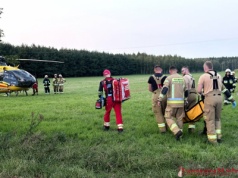 Groźny wypadek w Grabowie. 65-letnia kobieta poturbowana przez krowę trafiła do szpitala