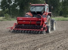 Kiedy siać jęczmień ozimy? Optymalne terminy są zbyt wczesne