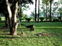 Oferta pracy: Pracownik gospodarczy w Rzeszowie