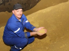 Soja: czy to się opłaca? Rolnik zdradza swój zysk z hektara