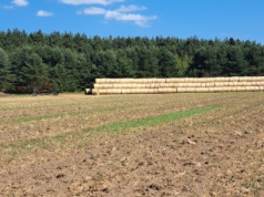 Rolnicy proponują nowe rozwiązanie dotyczące kredytów na zakup ziemi