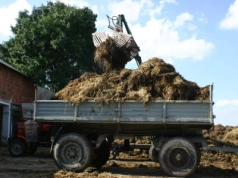 Ile obornika na hektar pod zboża? Zalecane dawki