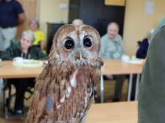 Nietypowi goście w kieleckim hospicjum