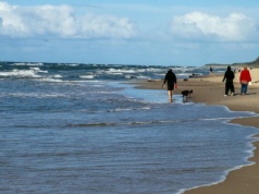Uciążliwe zjawisko nad Bałtykiem. W tym roku to istna plaga