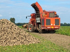 Rolnicy: uwaga na drony podczas żniw kukurydzy, słonecznika, buraków!