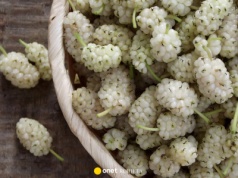 Pomagają walczyć z miażdżycą i wspierają odchudzanie. Warto włączyć te białe owoce do diety