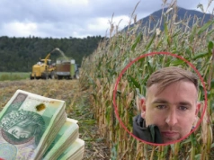 Pszenica i ziemniaki za grosze. Rolnicy pracują nad planem ratunkowym