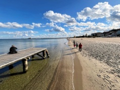 Znalazł niezwykły skarb nad Bałtykiem. Internauci zachwyceni. "Przecież to foczka"