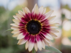 Pogoda na piątek | Ciepły i słoneczny początek weekendu