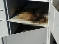 Po naszym tekście policja poważniej podeszła do sprawy kota, który zdechł zamknięty w automacie paczkowym