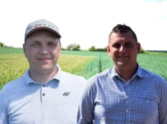 Jak wygrać z wyczyńcem polnym? Rolnicy z Warmii i Mazur mają sposoby