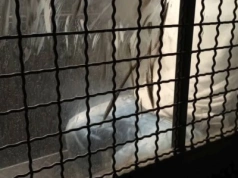 Uciekał przed policją, bo nie powinien prowadzić. Zatrzymany po pościgu w Siedlęcinie