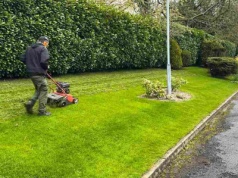 Skoś trawnik przed zimą w tym terminie. Unikniesz suchych placków i chorób na wiosnę