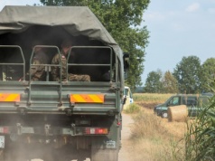 "Zestrzeliwać drony już nad Ukrainą". Mocny głos z Bundestagu