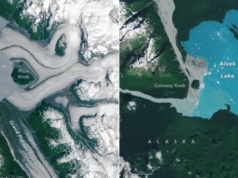 Na Alasce pojawiła się nowa wyspa