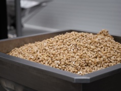 Hebar z ambicją 100 mln zł przychodów do 2030 roku