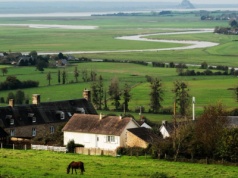 Rewolucja w planowaniu przestrzennym. Co rolnik będzie mógł budować po 2026 roku?