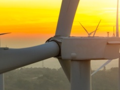 "Lasom Państwowym coś się pomyliło" - NIK o wiatrakach w lesie