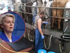Przymusowe umowy dla rolników? Bruksela ma nowy pomysł na mleko