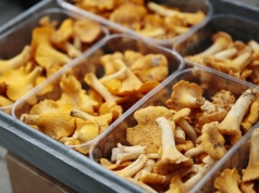 Czas na zabielaną zupę z kurek