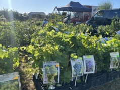 Targi Agro Pomerania w Barzkowicach wystartowały [ZDJĘCIA]