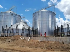 Jak bezpiecznie suszyć i magazynować ziarno? Pomoże automatyczna kontrola