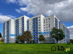 Czy termomodernizacja bloków z wielkiej płyty ma ekonomiczny sens? Te dane dają odpowiedź