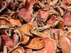 Zalej wrzątkiem i odstaw. Działa zbawiennie na jelita, wzmacnia odporność jak suplementy z apteki