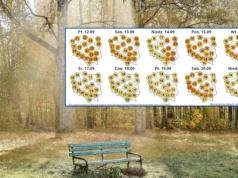 Jesień wkroczy do całej Polski. Wiemy, kiedy się ochłodzi