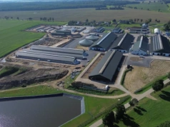 Największa na świecie instalacja automatycznego doju krów DeLaval na polskim Pomorzu. Ile krów dziennie wydoi?