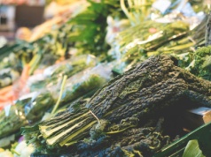 Bio Planet z lepszymi warunkami finansowania po kontynuacji wzrostów sprzedaży