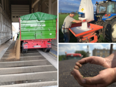 Pszenica tanieje, rzepak daje nadzieję. A nawozy w pakiecie ze zbożem [Raport rynkowy 12.09.2025]