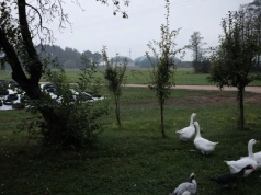 Politycy chcą budować, inwestorzy zarabiać, a mieszkańcy się buntują. „Dla nas jest tylko smród”