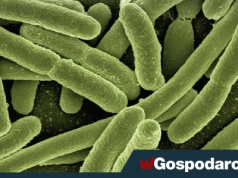 Zabija o wiele częściej niż zawał serca czy rak