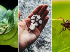 Tego nie uczyli w szkole! 15 pytań o ciekawostki. Prawda czy fałsz?