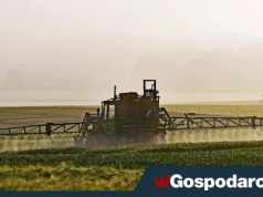 Będzie wielki problem z ochroną zbóż