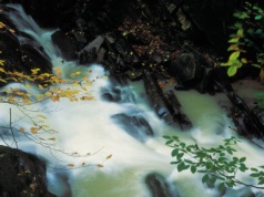 "Przenieśli" wodospad o 30 metrów. Niezwykła historia bieszczadzkiego cudu