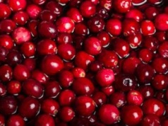 Niweluje wstydliwy problem. Na tym lista zalet się nie kończy