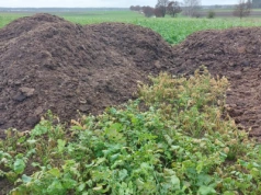 Kto kontroluje składowanie obornika i jakie są kary za złe przechowywanie?