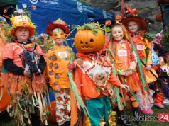 Wielkie odliczanie do 9. Święta Dyni. Czy tym razem uda się pobić rekord na największy okaz?