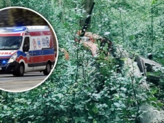 Nie wrócił do domu. 75-latka znaleziono w lesie. Nie żył. Wstrząsające ustalenia