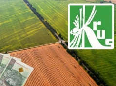 Ile ziemi trzeba mieć, żeby się ubezpieczyć w KRUS?