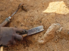 Odkryto tajemniczy przedmiot sprzed 3 tys. lat. Służył starożytnej „policji”?