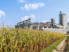 Fabryka leków ma stanąć na ściernisku, bo tak chce Komisja Europejska?