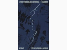 Epizod z życia malarza podróżnika |Recenzja