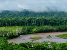 Zwrot akcji w sprawie zmumifikowanej głowy sprzed wieków. Należała do innej cywilizacji