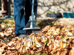 Co zrobić z liśćmi i gałęziami na działce? Sprawdź legalne metody