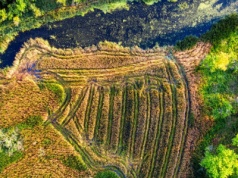 Więcej czasu na składanie wniosków na inwestycje chroniące wody przed azotanami z gospodarstw